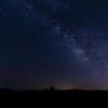 Joshua Tree National Park