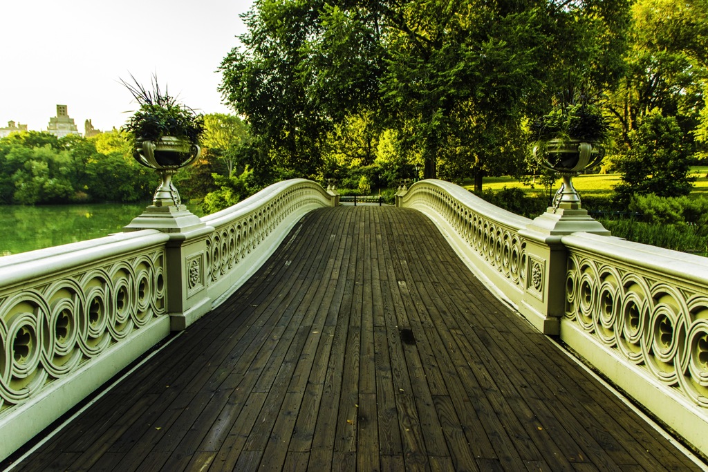 Central Park in the Morning