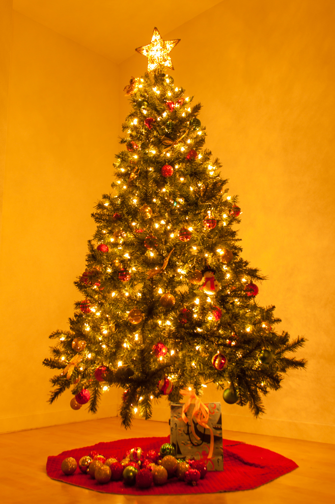 Christmas Tree 2014