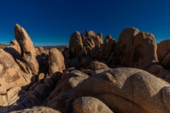 Joshua Tree National Park