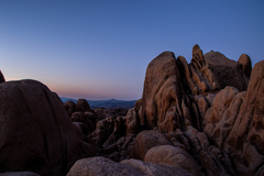 Joshua Tree National Park