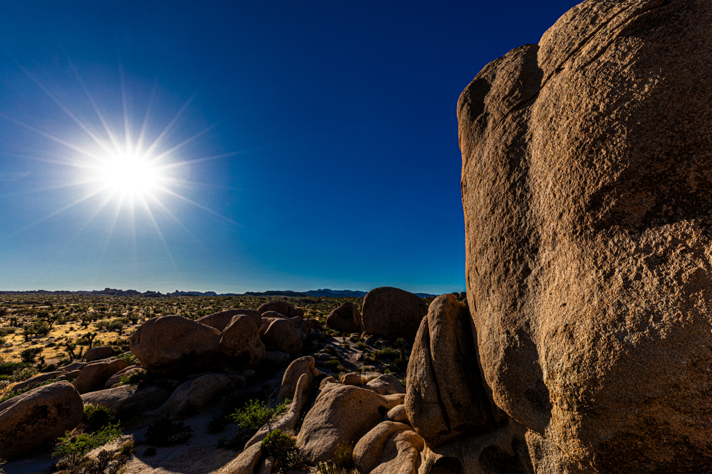 Joshua Tree National Park