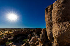 Joshua Tree National Park