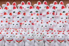 招き猫たち