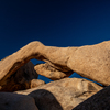 Joshua Tree National Park