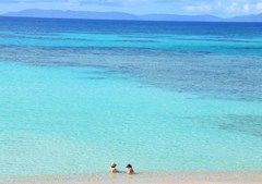 でっかいお風呂