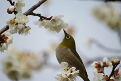 DSC09505