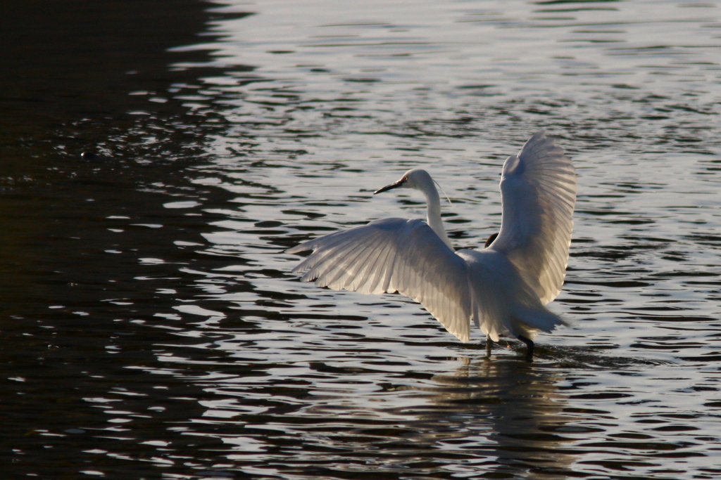 IMG_7793