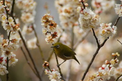 DSC09507