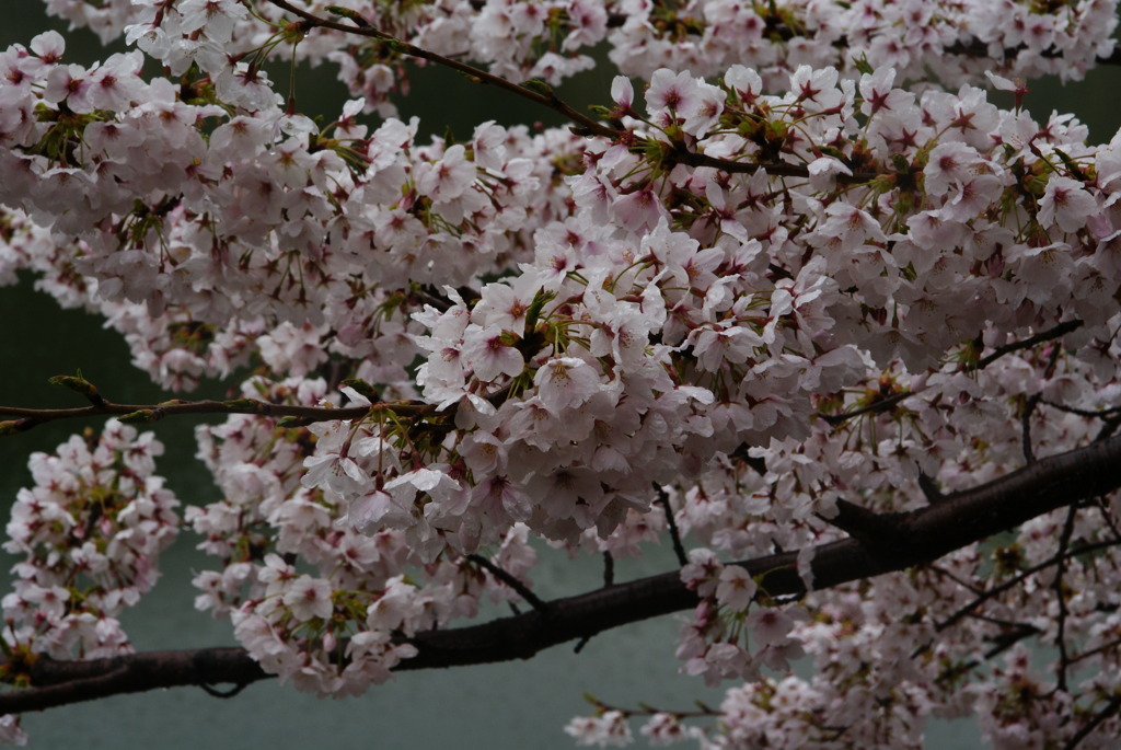 DSC00408