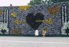 5837336_1018733305_129large