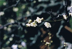 57