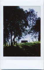 c14