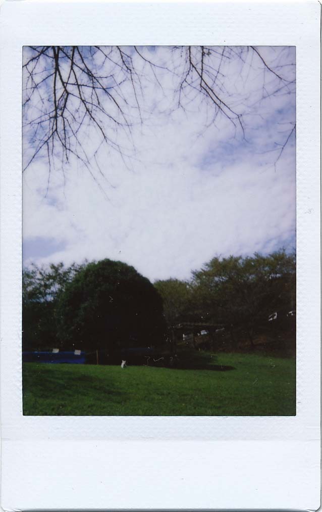 c20