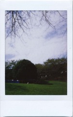 c20