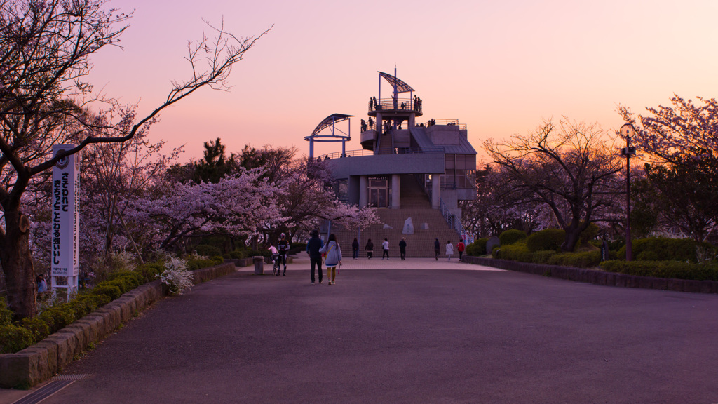 SpringTwilight