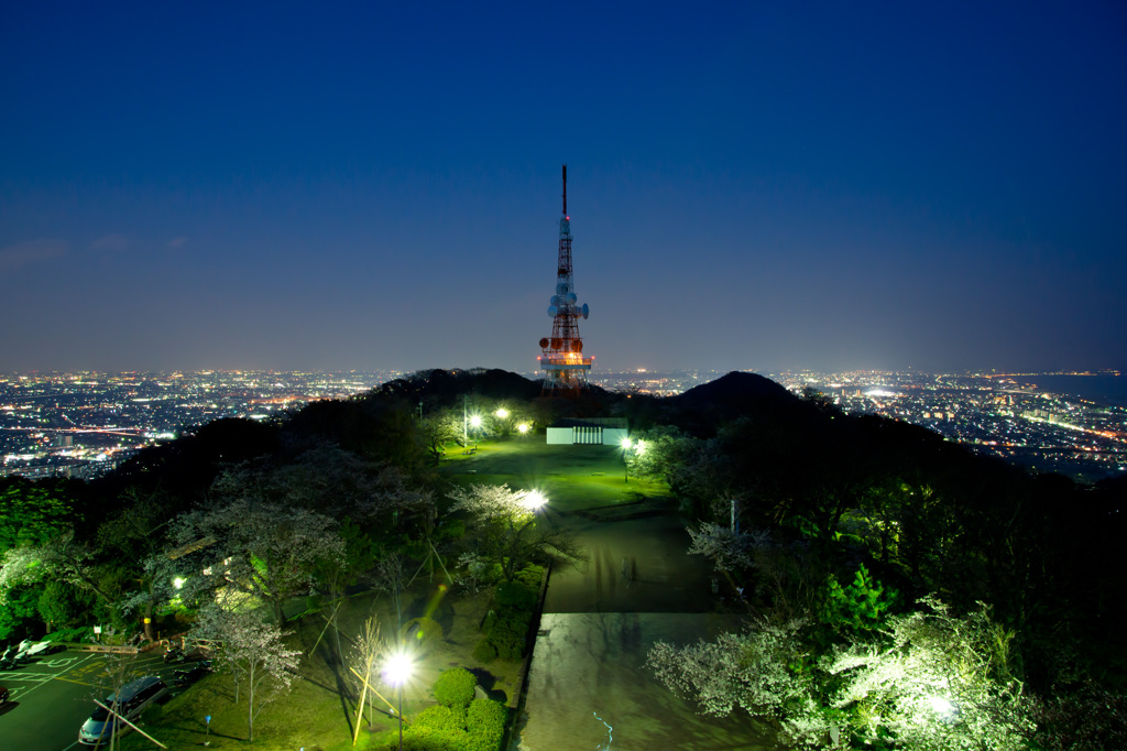 湘南平からの夜景（2012.04）