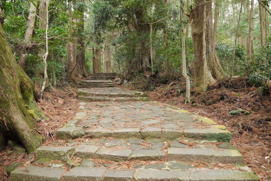 熊野古道2