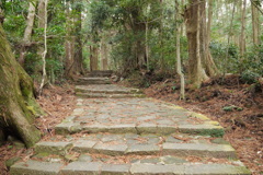熊野古道2
