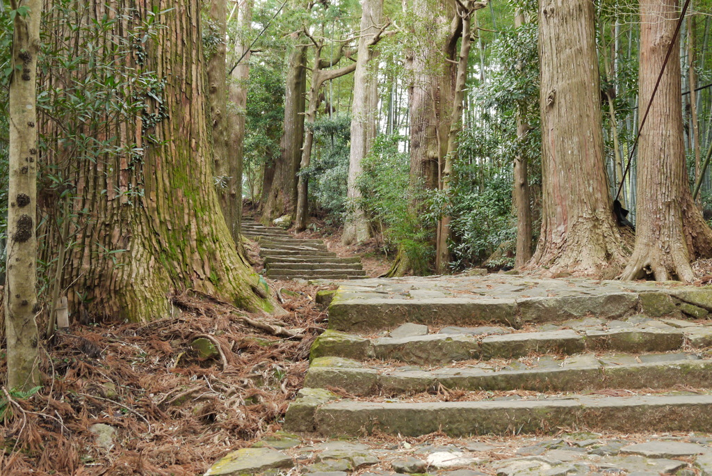 熊野古道