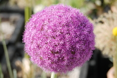 これは・・・？