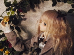 LEEKE WORLDさんのウィッグその１
