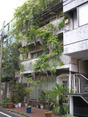 P1010578