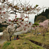 桜の峠道