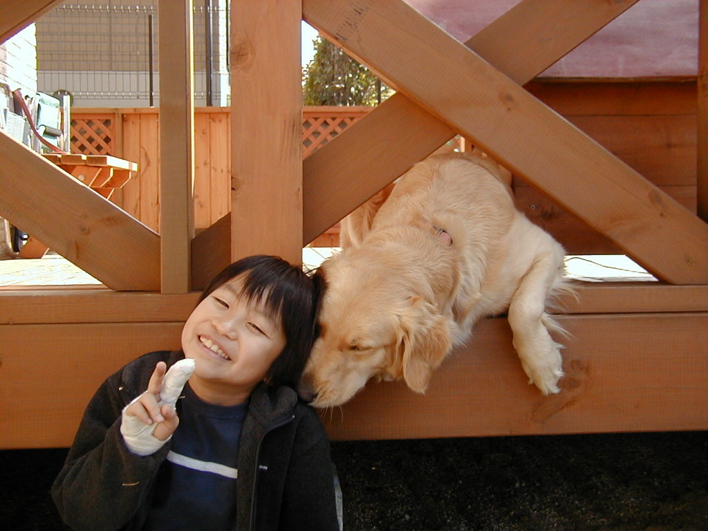 20030210_conifer_22