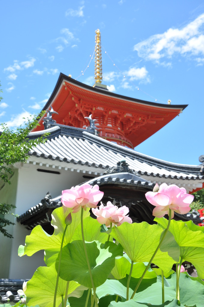 晴れの日の祈祷