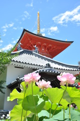 晴れの日の祈祷