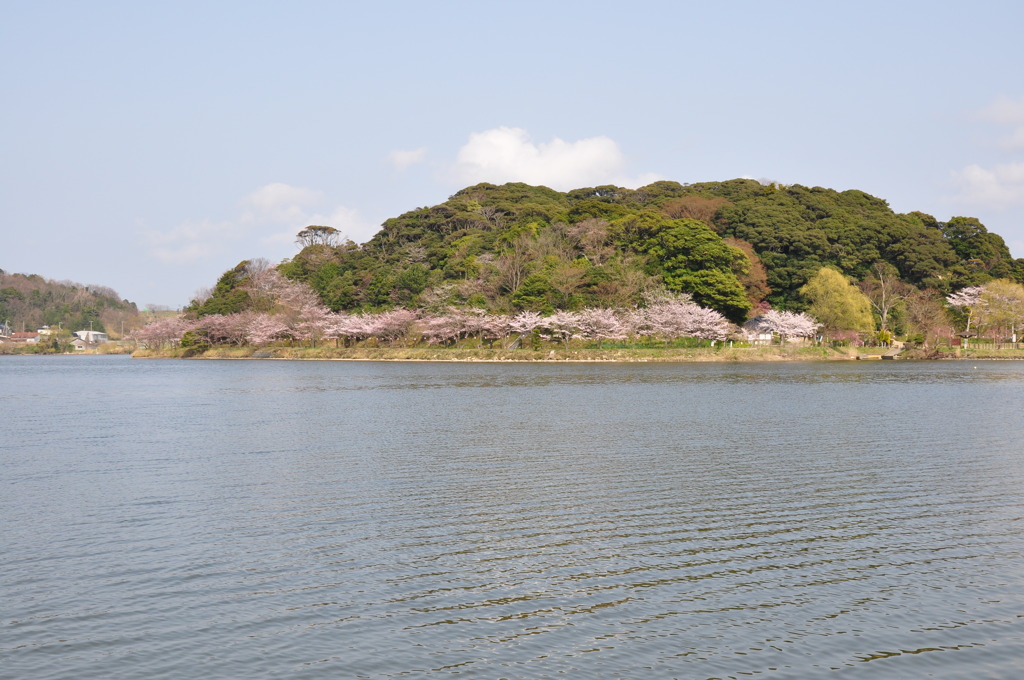 桜島
