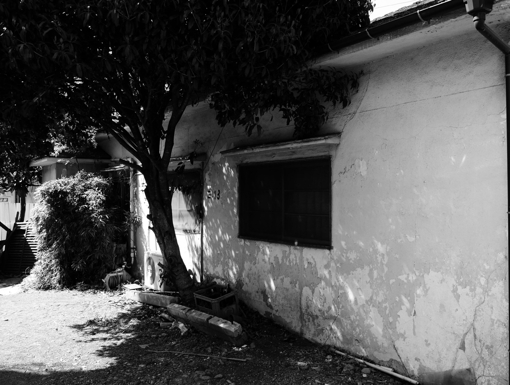 Ｒ１６　back street 2
