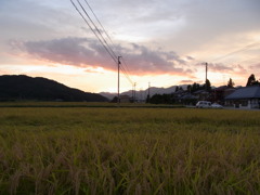 夕暮れ