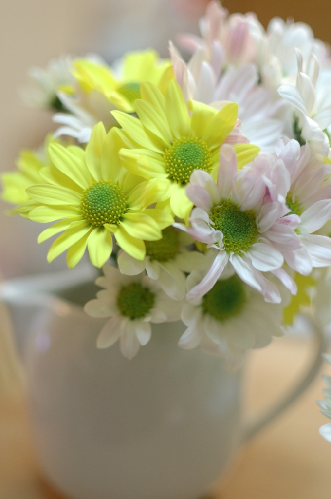 テーブルの花