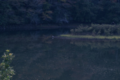 夕暮れのダム湖