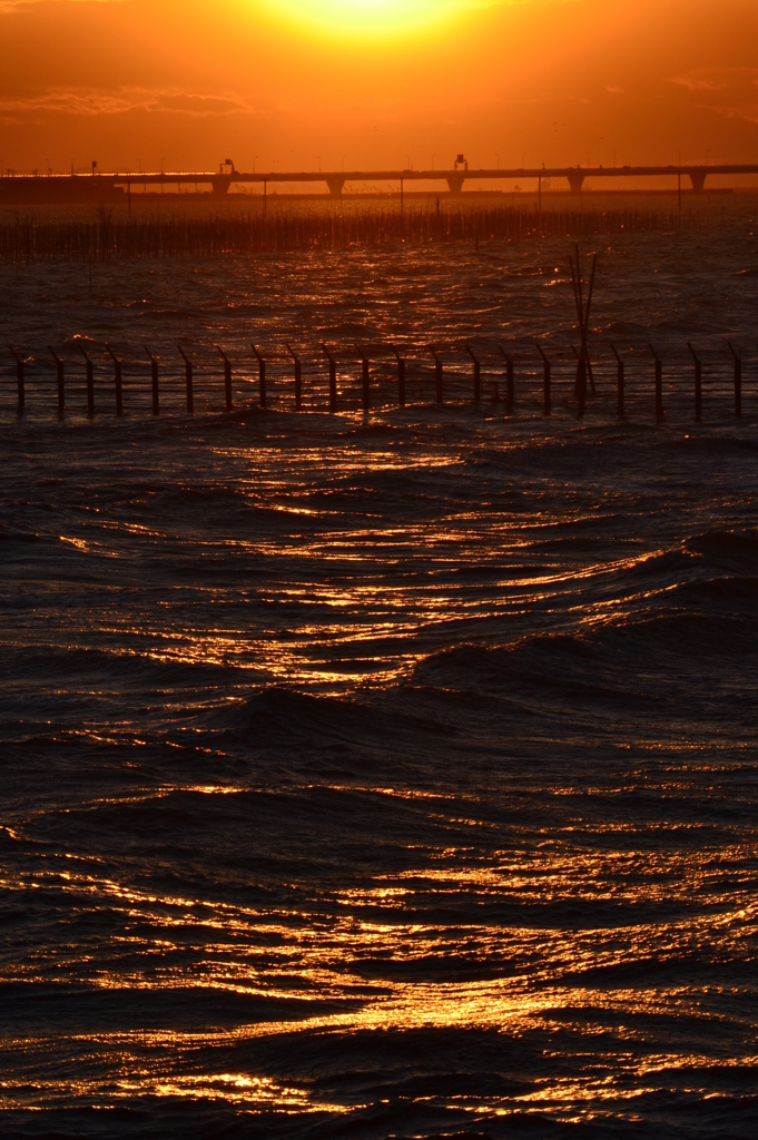 夕波