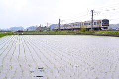 田園を走る