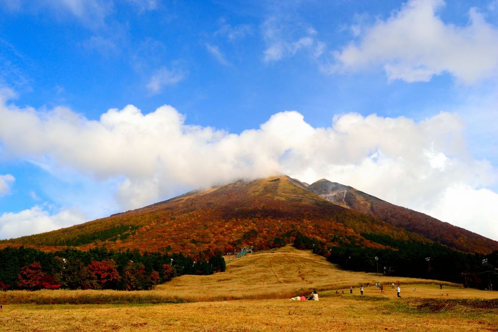 大山の紅葉