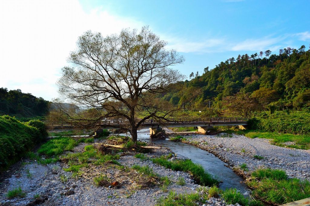 ２０１１秋　田舎の小川