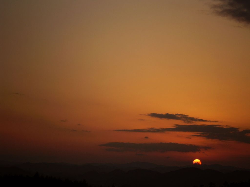 太陽に吠えろ!!