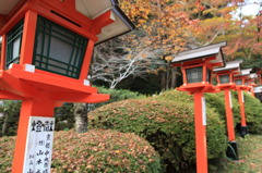 鞍馬寺