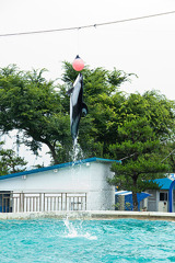 たぶんレッド、ジャンピング頭突き！