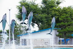 イルカ戦隊出動！