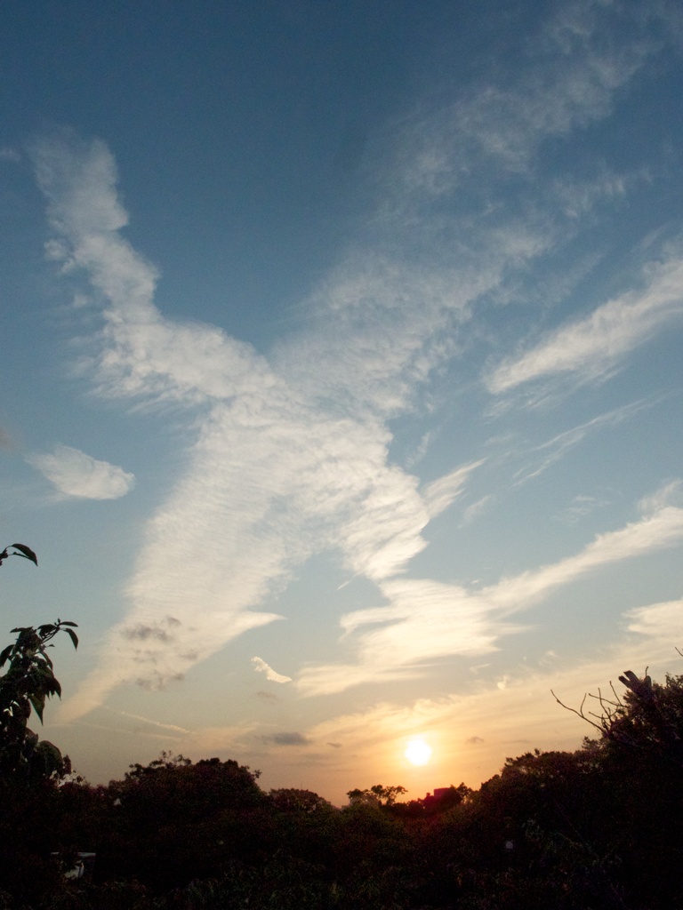 秋空