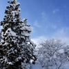 雪化粧