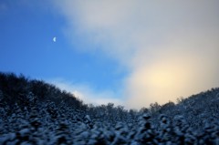 見下ろす月