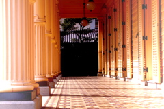 IMGP0674