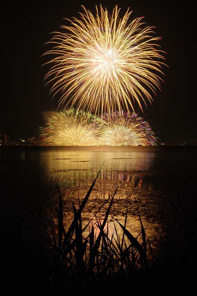 対岸のアリーナ