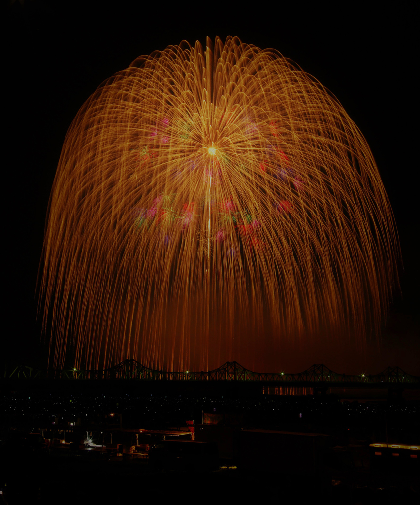 冠柳火